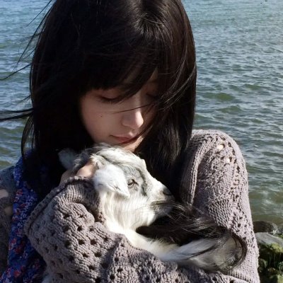 丝黛芬妮